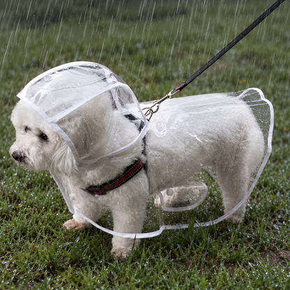 Chubasquero Transparente para Perros